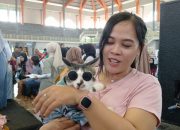 Kucing Blora