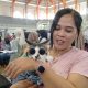 Kucing Blora