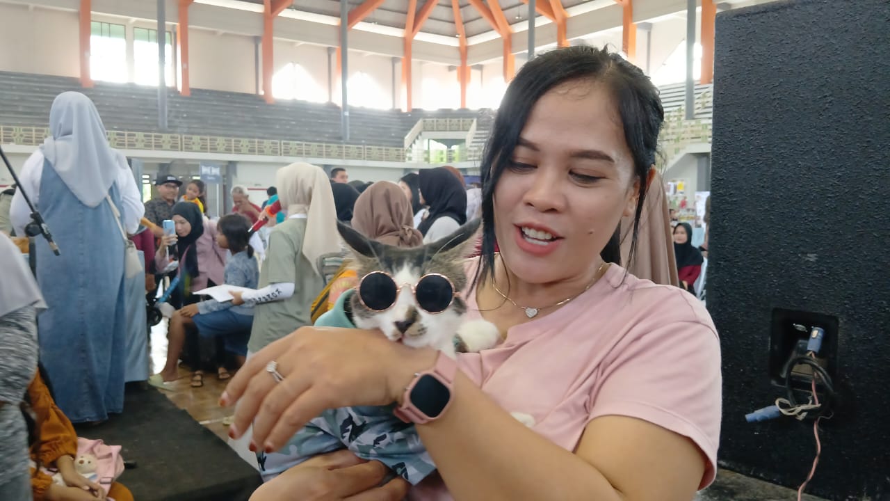 Kucing Blora