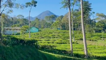 Mau Healing Murah? Cus ke Wisata Alam di Kabupaten Batang Ini!