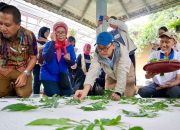 Go Green Mini Tour KBA Pekayon, Zona Hijau di Tengah Hiruk Pikuk Perkotaan