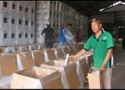 Antisipasi Musim Hujan, KPU Blora Sigap Lakukan Pengepakan Surat Suara Pilkada 2024
