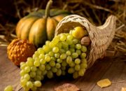 Anggur Muscat