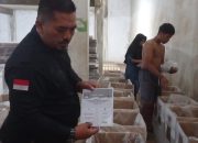 distribusi logistik