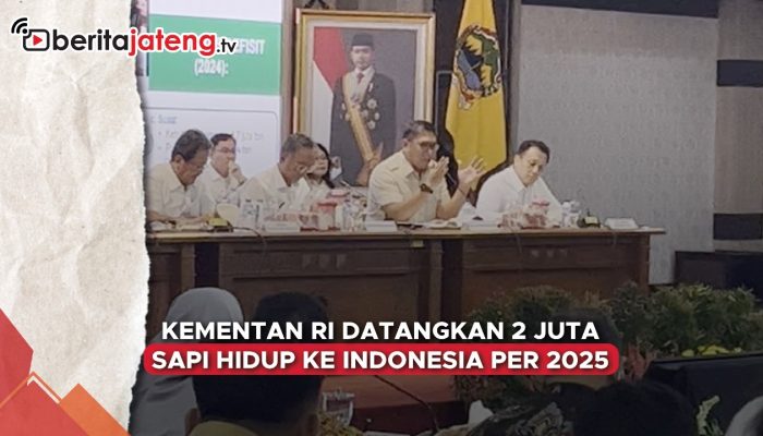 Video Pemerintah Bakal Datangkan Dua Juta Sapi Hidup per 2025