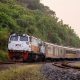 Diskon 50 Persen! Nikmati Perjalanan Eksekutif Direct Train Gambir-Semarang Tawang dari KAI