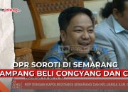 Video DPR Soroti di Semarang Gampang Beli Congyang dan Ciu, Pemicu Tawuran Marak