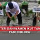 Agus Andrianto tanam padi di Blora