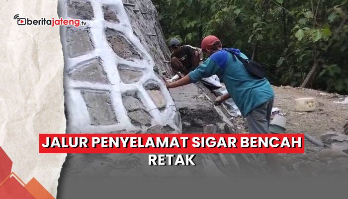 Video Jalur Penyelamat Sigar Bencah Retak