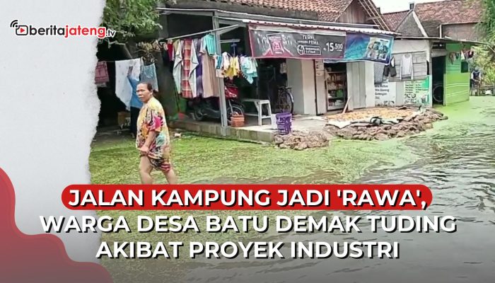 Video Jalan Kampung jadi ‘Rawa’, Warga Desa Batu, Demak Tuding Akibat Proyek Industri