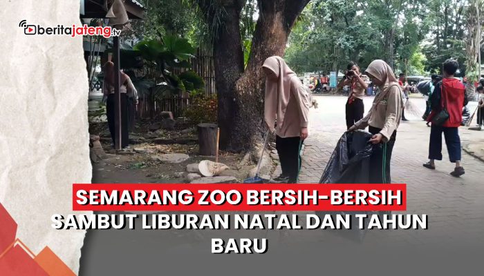 Video Semarang Zoo Bersih-Bersih Sambut Liburan Natal dan Tahun Baru
