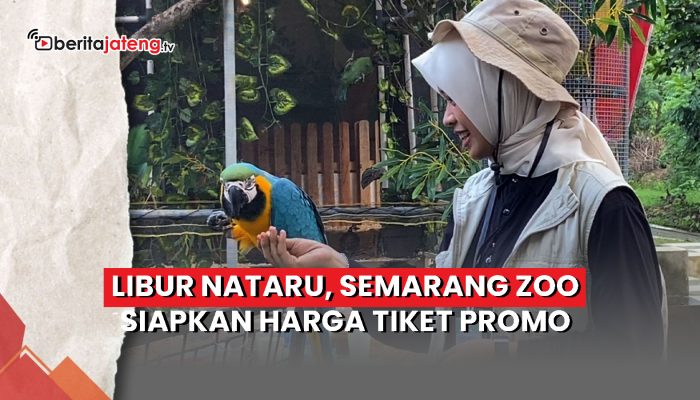 Video Libur Nataru, Semarang Zoo Tawarkan Harga Tiket Promo