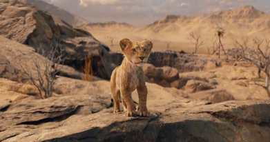 Mufasa: The Lion King