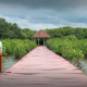wisata rembang