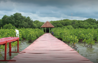 wisata rembang