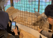 Semarang Zoo Nataru