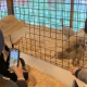 Semarang Zoo Nataru