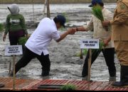 Momen Langka, Menteri Ipas dan Wakil Menteri Pertanian Ikut Menanam Padi di Blora, Sepatunya Ambles