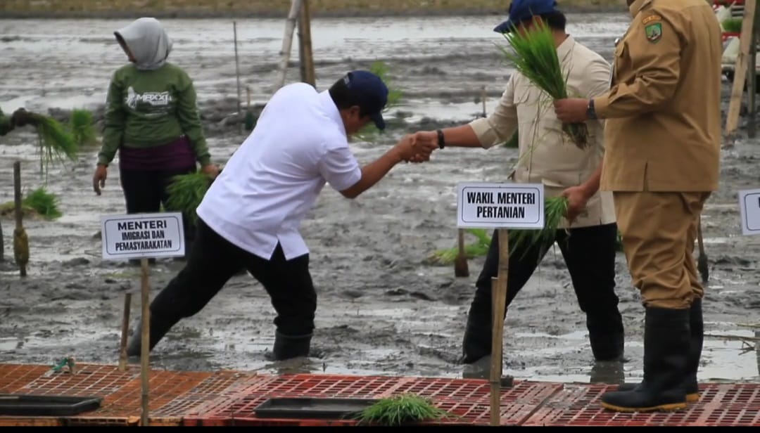 ketahanan pangan