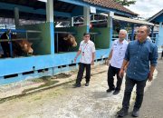 Jateng Penuhi Kebutuhan Daging, Susu, dan Telur Jabodetabek