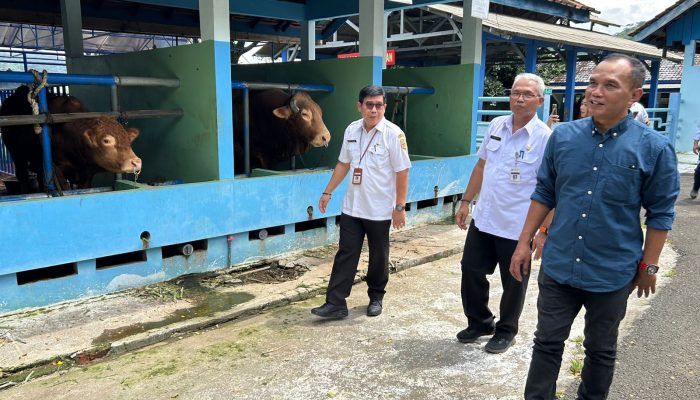 Jateng Penuhi Kebutuhan Daging, Susu, dan Telur Jabodetabek