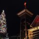 pohon cemara natal di gereja semarang