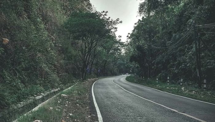 Begini Kisah Misteri Paling Menyeramkan di Alas Roban, Bus Berhantu yang Terjadi pada 1996