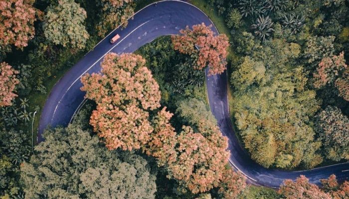 Intip Fakta Menarik Seputar Alas Roban, Tanjakan Curam dengan Serangkaian Peristiwa Menyeramkan