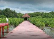 wisata rembang