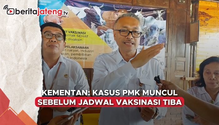 Video Kementan: Kasus PMK Jateng Muncul Sebelum Jadwal Vaksinasi Tiba