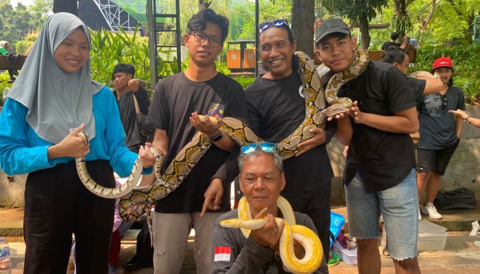 Ramaikan Car Free Day Simpang Lima, Begini Serunya Interaksi Masyarakat dengan Satwa Eksotik