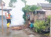 DBD fogging