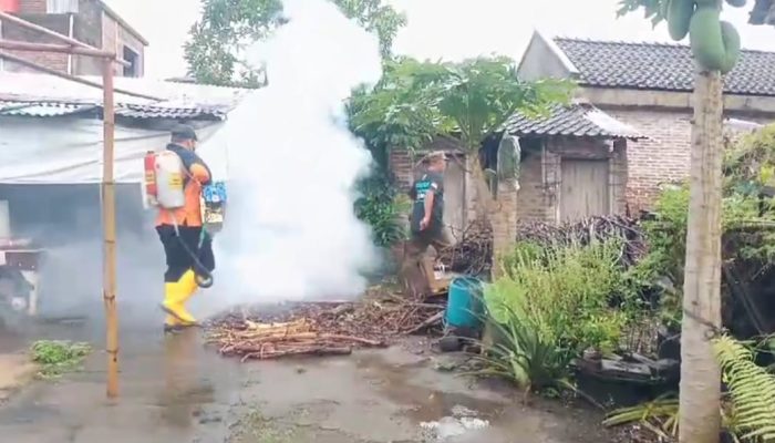 Cegah Penyebaran DBD dan Chikungunya, Dusun Ngaran 1 Borobudur Magelang Gelar PSN-Fogging