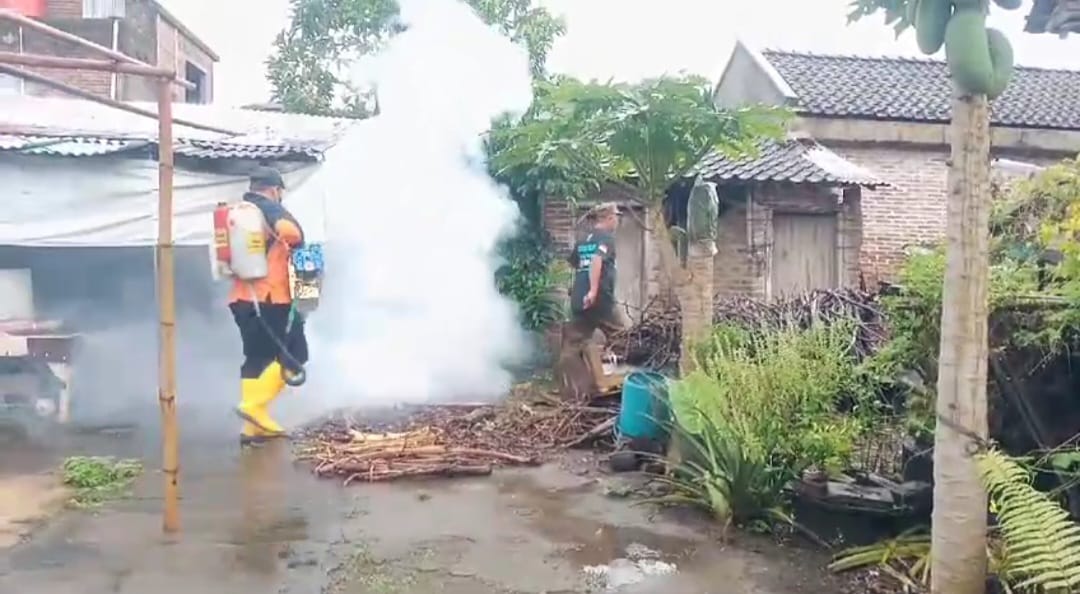 DBD fogging