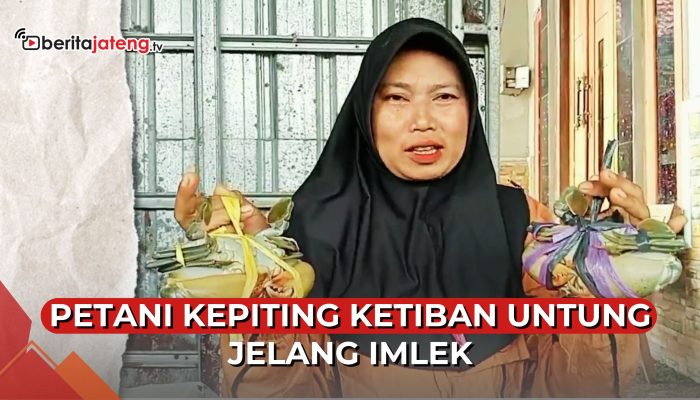 Video Pengepul Kepiting Ketiban Untung saat Imlek