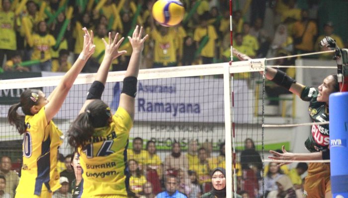 Gresik Petrokimia Tersungkur di Kandang Usai Duel Sengit Lanjutan PLN Mobile Proliga 2025
