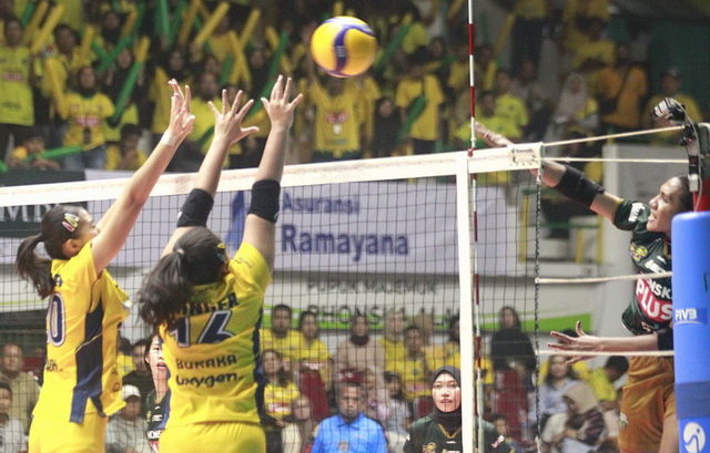 Gresik Petrokimia Tersungkur di Kandang Usai Duel Sengit Lanjutan PLN Mobile Proliga 2025