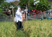 Semarang Siap Jadi Pelopor Inovasi Lahan Salin, Solusi untuk Ketahanan Pangan dan Energi Berkelanjutan