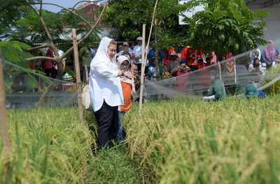 Semarang Siap Jadi Pelopor Inovasi Lahan Salin, Solusi untuk Ketahanan Pangan dan Energi Berkelanjutan