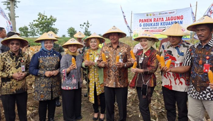 OJK Jateng Dorong Akses Keuangan untuk Pengembangan Sektor Pertanian di Grobogan