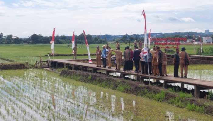 Semarang Optimis Raih Penghargaan Terbaik di Lomba Habitat Provinsi Jawa Tengah 2025