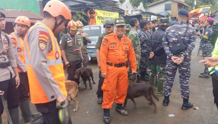 Wujud Solidaritas, Pemkot Semarang Kirim Personil Bantu Evakuasi Korban Longsor di Pekalongan