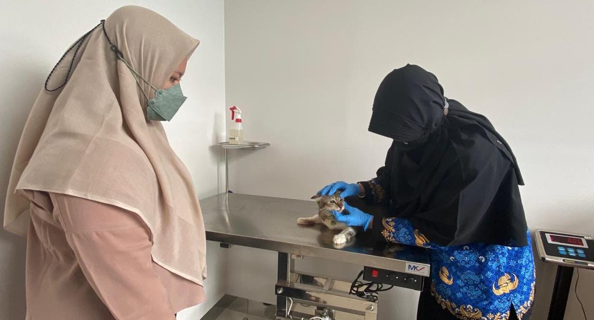 Butuh Perawatan Hewan Peliharaan? Pemkot Semarang Kini Buka Klinik dan Puskeswan