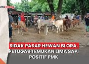 Video Sidak Pasar Hewan Blora, Petugas Temukan Lima Sapi Positif PMK