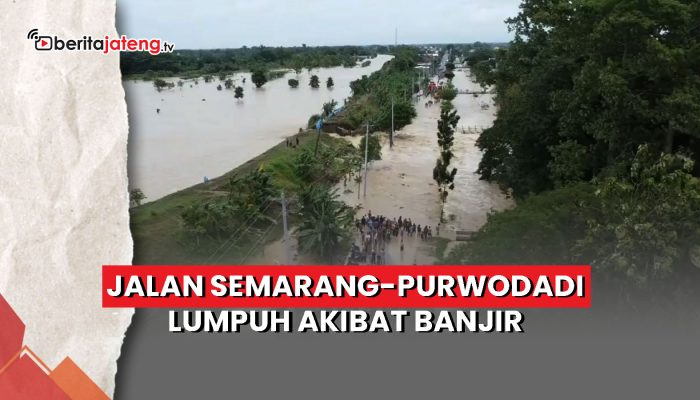 Video Jalan Semarang-Purwodadi Lumpuh Akibat Banjir