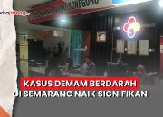 demam berdarah Semarang