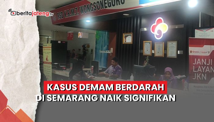Video Kasus Demam Berdarah di Semarang Naik Signifikan