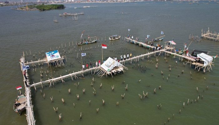 Tak Hanya di Tangerang, Kawasan Pagar Laut di Pesisir Utara Kota Semarang Juga Bersertifikat