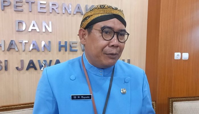 Cegah Penyebaran PMK, Pengawasan Lalu Lintas Ternak di Perbatasan Libatkan TNI-Polri