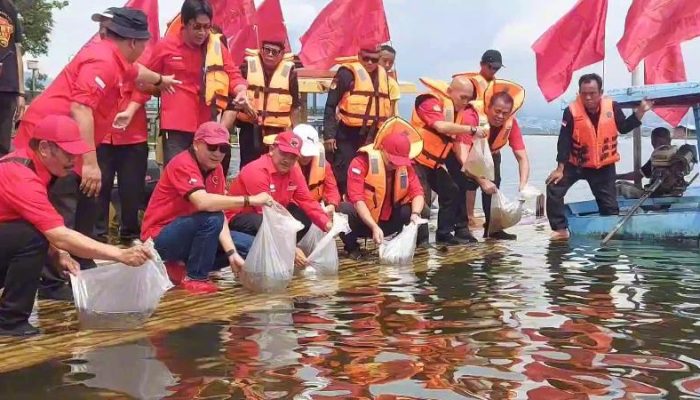 Jaga Keberlanjutan Sumberdaya Perikanan, PDIP Kabupaten Semarang Tebar 52 Ribu Bibit Ikan di Rawapening